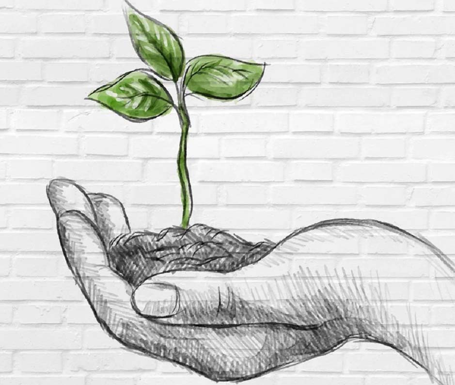 a picture of a plant growing from someones hand on a brick wall, expressing that our PVC is eco-friendly and recyclable